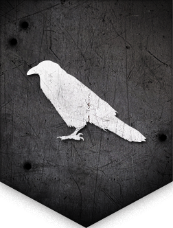 team4-banner